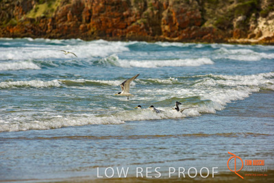 November 2016 / BEACH_OCEAN_082__161104_DSC_5005