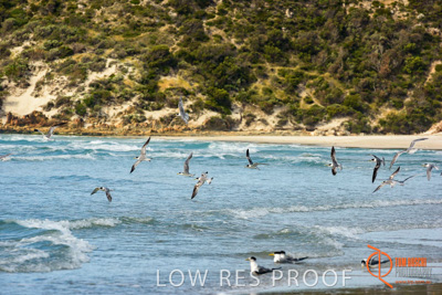 November 2016 / BEACH_OCEAN_083__161104_DSC_4995