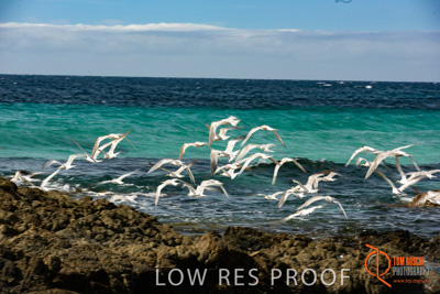 November 2016 / BEACH_OCEAN_095__161104_DSC_4902