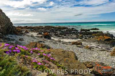November 2016 / BEACH_OCEAN_096__161104_DSC_4889