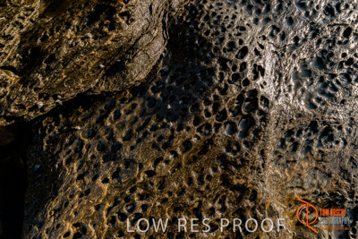 November 2016 / BEACH_OCEAN_109__161104_DSC_3671