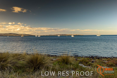 January 2016 / BEACH_OCEAN_138__160131_DSC_4253