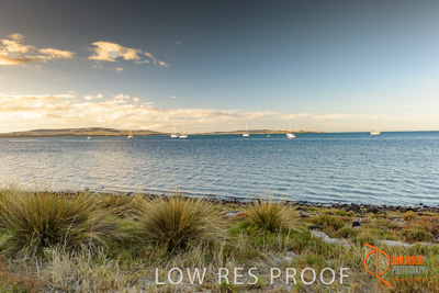 January 2016 / BEACH_OCEAN_140__160131_DSC_4246