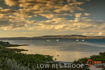 January 2016 / BEACH_OCEAN_141__160131__TRP4620