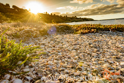 January 2016 / BEACH_OCEAN_144__160131_DSC_4225