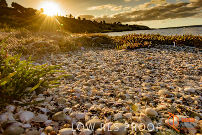 January 2016 / BEACH_OCEAN_145__160131_DSC_4224
