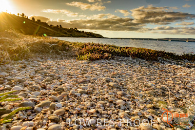 January 2016 / BEACH_OCEAN_146__160131_DSC_4223