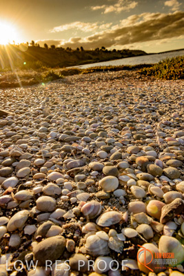 January 2016 / BEACH_OCEAN_147__160131_DSC_4218