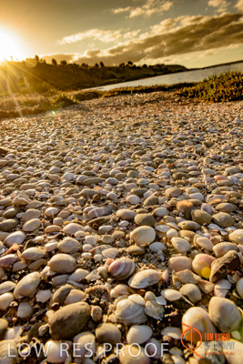 January 2016 / BEACH_OCEAN_148__160131_DSC_4217