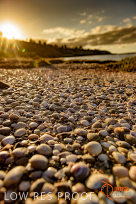 January 2016 / BEACH_OCEAN_150__160131_DSC_4215