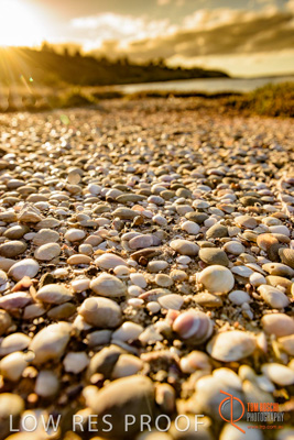 January 2016 / BEACH_OCEAN_151__160131_DSC_4214