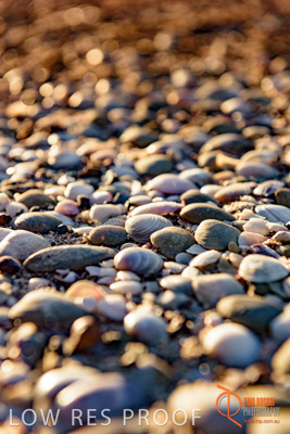 January 2016 / BEACH_OCEAN_152__160131_DSC_4213