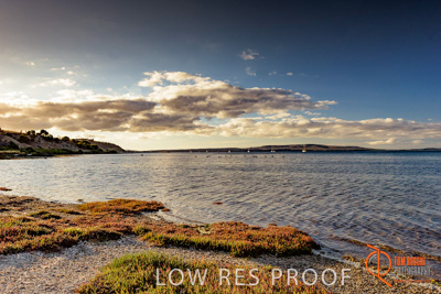 January 2016 / BEACH_OCEAN_153__160131_DSC_4210