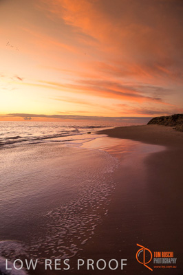 August 2015 / BEACH_OCEAN_166__150826_SUNSET_08_150826