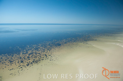 February 2011 / BEACH_OCEAN_177__110224__TRP5546