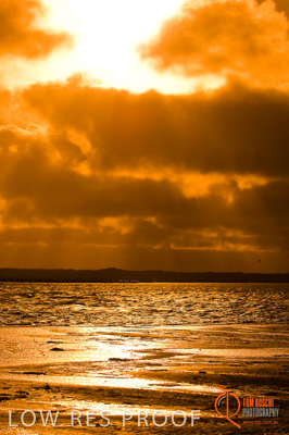 February 2008 / BEACH_OCEAN_183__080212_HINDMARSH_ISLAND_072_080212