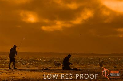 February 2008 / BEACH_OCEAN_184__080212_HINDMARSH_ISLAND_071_080212