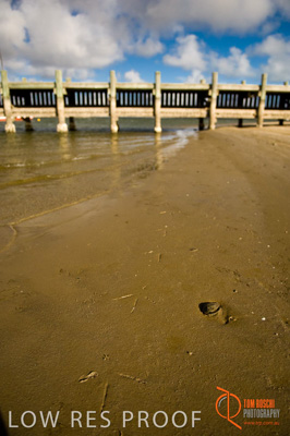 February 2008 / BEACH_OCEAN_193__080212_HINDMARSH_ISLAND_028_080212