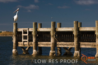 February 2008 / BEACH_OCEAN_194__080212_HINDMARSH_ISLAND_012_080212