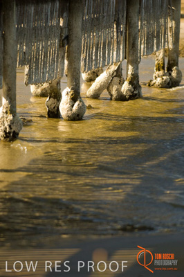 February 2008 / BEACH_OCEAN_200__080212_HINDMARSH_ISLAND_005_080212