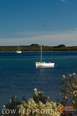 October 2006 / BEACH_OCEAN_210__061016_CAPTAIN'S_REST-441-AMERICAN_RIVER-061016