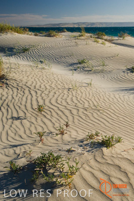 October 2006 / BEACH_OCEAN_213__061016_CAPTAIN'S_REST-225-ANTECHAMBER_BAY-061016