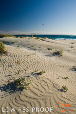 October 2006 / BEACH_OCEAN_214__061016_CAPTAIN'S_REST-223-ANTECHAMBER_BAY-061016