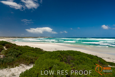 October 2006 / BEACH_OCEAN_230__061014_CAPTAIN'S_REST-232-SEAL_BAY-061014