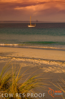 October 2006 / BEACH_OCEAN_232__061013_CAPTAIN'S_REST-213-ANTECHAMBER_BAY-061013