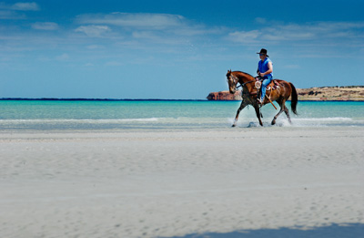 August 2002 / CC_HORSE_RIDING_020N