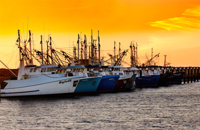 August 2002 / CC_PRAWN_TRAWLERS_006