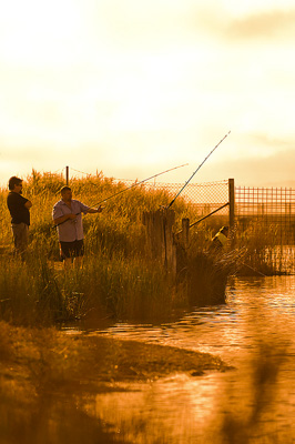 February 2008 / HINDMARSH ISLAND 041_080212