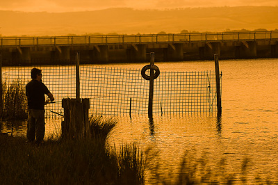 February 2008 / HINDMARSH ISLAND 042_080212