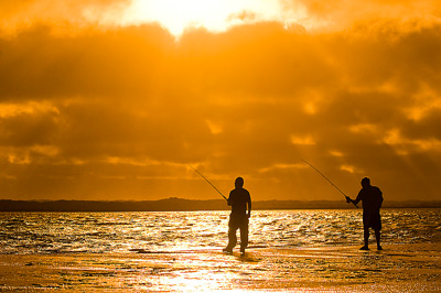 February 2008 / HINDMARSH ISLAND 066_080212