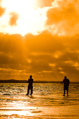 February 2008 / HINDMARSH ISLAND 067_080212
