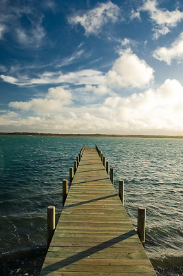February 2008 / HINDMARSH ISLAND 087_080212