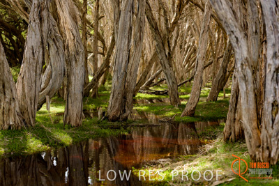 November 2016 / LANDSCAPES_SA_001__161105_DSC_6510