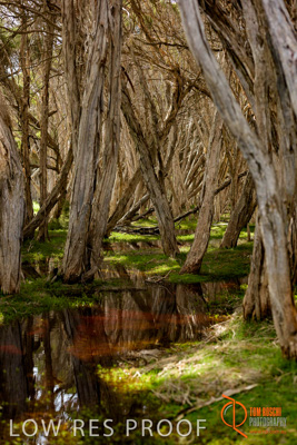 November 2016 / LANDSCAPES_SA_002__161105_DSC_6509