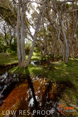 November 2016 / LANDSCAPES_SA_003__161105_DSC_6505