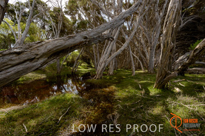 November 2016 / LANDSCAPES_SA_004__161105_DSC_6503