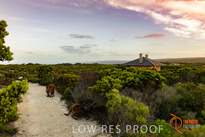 November 2016 / LANDSCAPES_SA_006__161105_DSC_5785