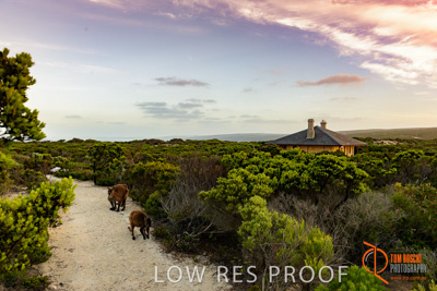 November 2016 / LANDSCAPES_SA_007__161105_DSC_5782