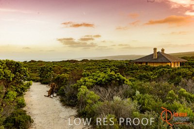 November 2016 / LANDSCAPES_SA_009__161105_DSC_5770