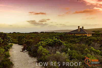 November 2016 / LANDSCAPES_SA_010__161105_DSC_5768