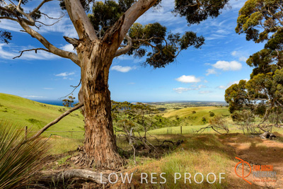 November 2016 / LANDSCAPES_SA_025__161104_DSC_4826