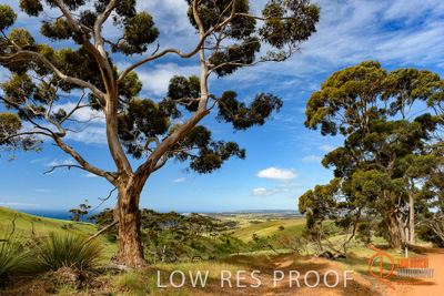 November 2016 / LANDSCAPES_SA_026__161104_DSC_4814