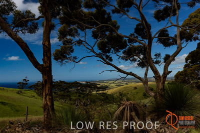 November 2016 / LANDSCAPES_SA_029__161104_DSC_4794