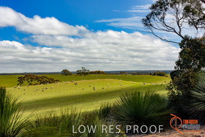 November 2016 / LANDSCAPES_SA_035__161104_DSC_4743