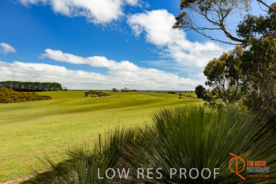 November 2016 / LANDSCAPES_SA_037__161104_DSC_4733