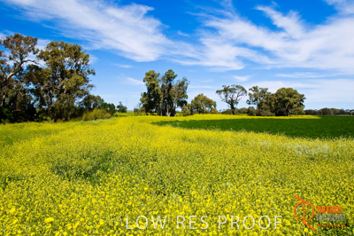 October 2005 / LANDSCAPES_SA_090__051013__TRP4440